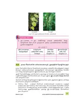 Tamil benchmark page